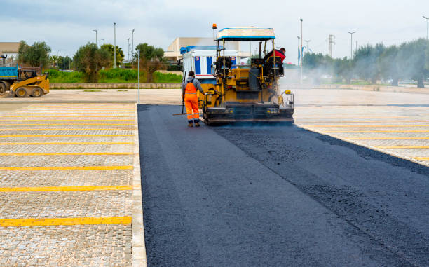 Best Driveway Paving Contractor  in Mesita, NM