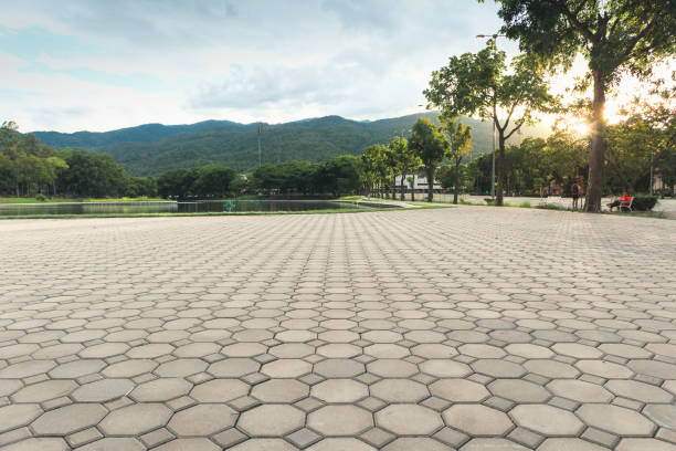 Best Professional Driveway Pavers  in Mesita, NM