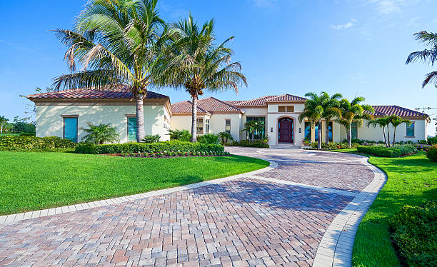 Best Best Driveway Pavers  in Mesita, NM
