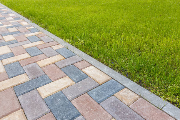 Best Decorative Driveway Pavers  in Mesita, NM